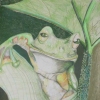 Flying Frog 
