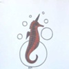 Sea Unicorn