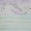 Dolphins