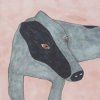 grey dog