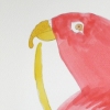 Red Parrot