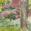Field, Williamstown