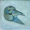 Decoy