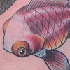 Fishfoot