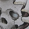 Hooded skull