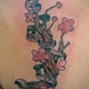 Branch!