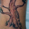 Tree!