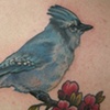 caw