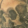 Skull n roses