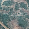 Skullstorm cont...