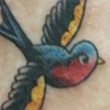 Birdies