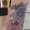 Flower cover