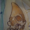 crescent skull