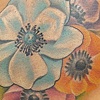 poppies