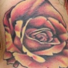 rose