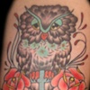 owl