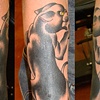 panther cover up