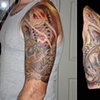 koi skull