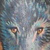wolf cover up