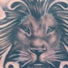lion head