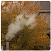 Up In Smoke, ~ Philadelphia, PA, USA