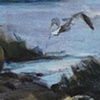 Paintings