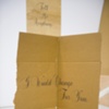Untitled (Detail of 'I Would Change For You')