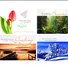 4 Seasons Photo Tray