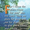 For I Know The Plans...