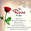 The Rose in You 