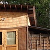 The shop