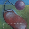 #66