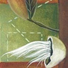 #74