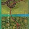 Untitled #9