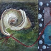Umbilicus 3