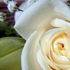 Jon & Amandas Wedding