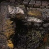 Detail I