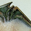 Hybrid Wood Fired Platter II