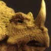 THE ANIMAL MAN Detail