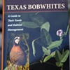 Texas Bobwhites
A Guide Foods and Habitat Management
Jon A. Larson, Timothy E. Fulbright, Leonard A. Brennan, Fidel Hernandez, and Fred C. Bryant