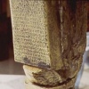 EVALUTION  Detail