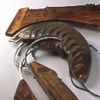 Crustacean