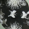 China Series I