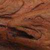 Preditor Preditee Detail