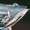 VERTIBULE OF PERSEPHONE II
