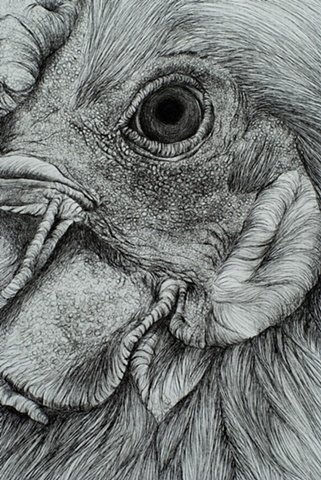 detail of Daddy Hen