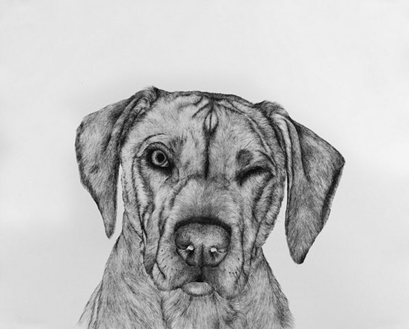 Lola