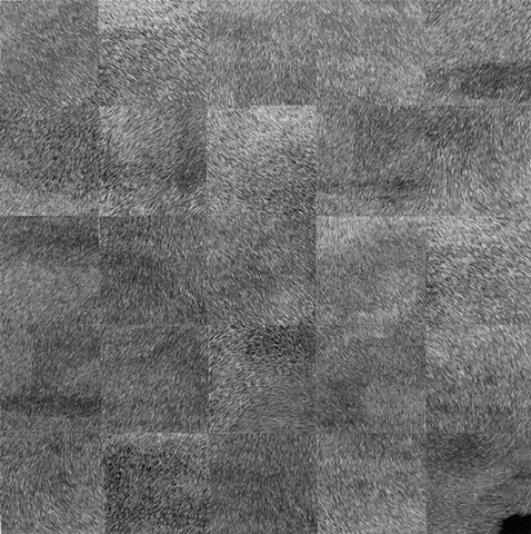 Untitled 1 (State 1 and 2 combined)