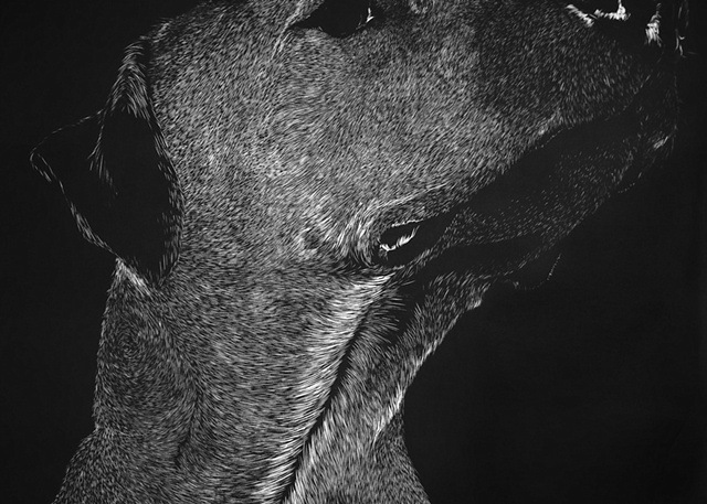 detail of Jaako