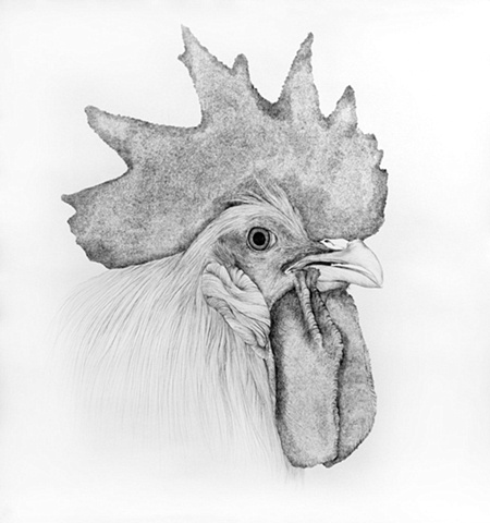 Mama Cock